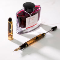 Pilot Custom 823 Fountain Pen Gift Set - Clear - 14k Gold - - Fountain Pens - Bunbougu